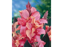 ����� ������� 86,4�.jpg