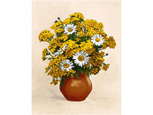 ����� (����� � �������)