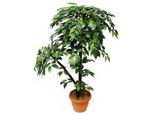 �� 90/2�/16 - 3980