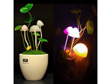 ������ - ���������� �����