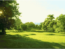 ������ ������ (21�34).jpg