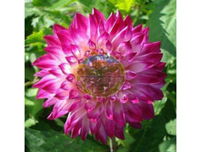 �������� ���� ���������.jpg