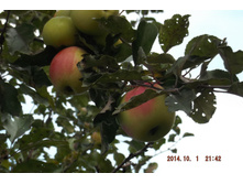 ��� 2014 269.jpg