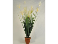 �� 70/169 - 560 - ������ 25%