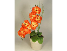 �� 34*2/33 - 325