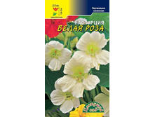 ��������� �������� ����� ����. 10 ���. �������� 1 ��..jpg