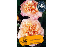 ������� �����.jpg