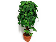 �� 85/04� - 3557