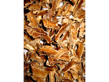 ������� �����������