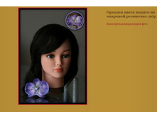 ������� ����� ������ �� �������� ���������.JPG