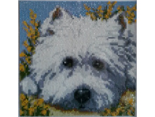 ����� elenaf