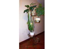 ������ ��� ������ ������-6.jpg