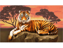 ���� (120�70).jpg