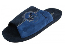 A1123 blue-600x400.jpg