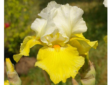 ���� ��� �� ����� 118,8�