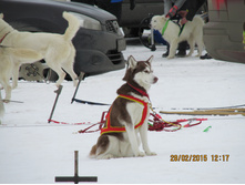 ���� 414.jpg