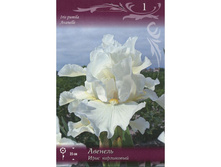 ���� ������� 118,8�