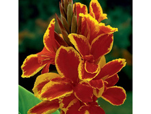 ����� ������� 86,4�.jpg