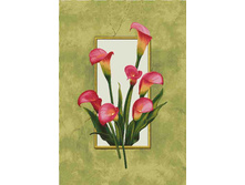 ������ ����� (70�53).jpg