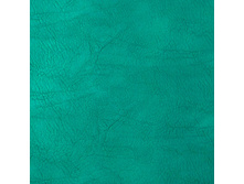 ����-������� ������.jpg