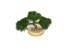 ��� 20/3�/47 - 1507