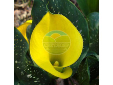 ����� ����� ���� 14.jpg