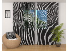 01781 �����.jpg