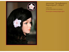 ��������� ���������� ������(���).JPG