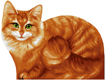 �������� .jpg