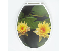 �������� �������� ����� 295�.jpg