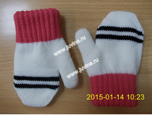 DSCN9755 (����������).jpg