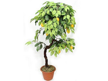 �� 100/�2/20� - 3550