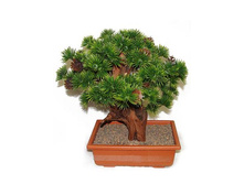 ��/30 (�) - 2030