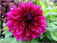 �������� �� ����� 90�