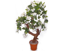 ��100/2�/��/21 - 2166