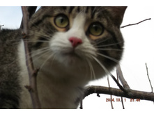 ��� 2014 287.jpg
