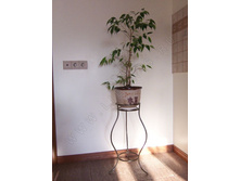 ������ ��������� ��� 1 ������ �����.jpg