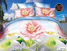 ����-����� CSX-4931.jpg