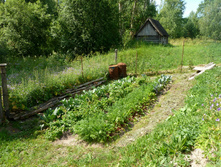 P1130840.JPG
