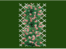 �������   �����