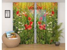 01046 ������� ������.jpg