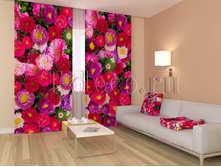 01141 �����.jpg