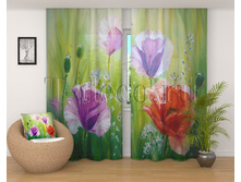 00413 ����� �� ������.jpg