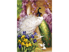 �������� ���� (70�108).jpg