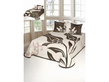 Antonio Salgado (����������) ���. Berit.jpg