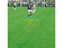 �����  ���������� (�������, 1 ��).jpg