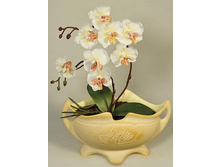 �� 35*2/33 - 850