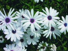 ������������ �������� 9 ���. �������� 1 ��..jpg