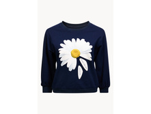 ���������1511155436 - 951+%.jpg