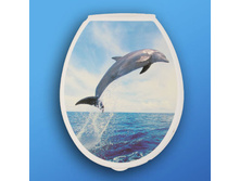 ������� 295�.jpg